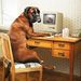 Profile Picture of Albert Socha (@albertsocha) on Pinterest