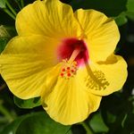 Profile Picture of Erik Winkelmann (@eriks.photobook) on Instagram