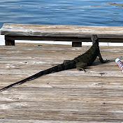 Profile Picture of Kenneth Reeves (@kennethreeves6980) on Youtube