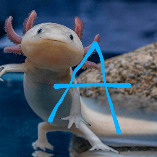 Profile Picture of Alonzolotl (@alonzolotl) on Tiktok