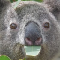 Profile Picture of Eric Vanags (@eric-vanags) on Quora