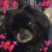 Profile Picture of Pam Eutsler (@pam.eutsler) on Facebook