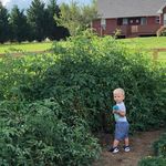 Profile Picture of Brady Pockman (@bradypockman) on Instagram