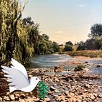 Profile Picture of David Walden (@David-Walden) on Facebook