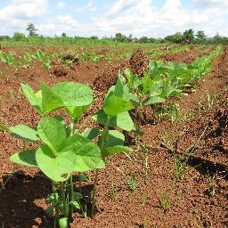 Profile Picture of Neil Peterson (@NiiLunDawn) on Twitter