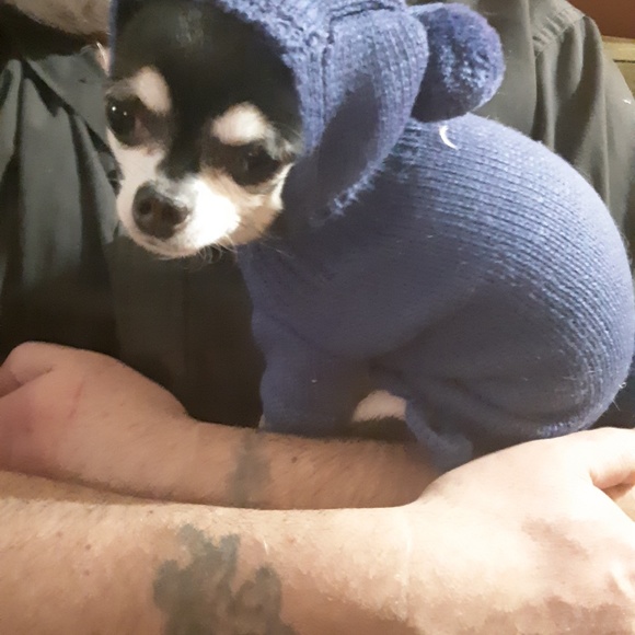 Profile Picture of Lisa Hodgson (@lisa_hodgson) on Poshmark