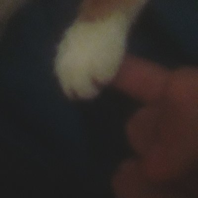 Profile Picture of Steven M Guido (@StevenMguido1) on Twitter