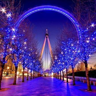 Profile Picture of Fabian Celaya Celaya (@celaya_fabian) on Twitter