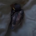 Profile Picture of Pasqua Christopher (@Pasqua-Christopher) on Facebook