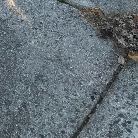 Profile Picture of Cesar Salvatirrra (@cesar743) on Poshmark