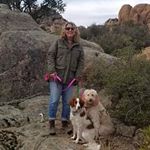 Profile Picture of Carol Abrahamian Hackler (@1knitchick) on Instagram