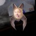 Profile Picture of Andrew Chrystal (@Red_Totoro7) on Twitter