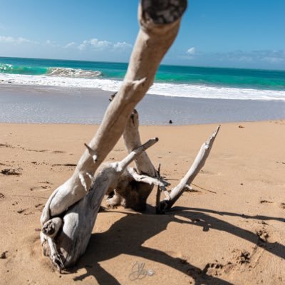 Profile Picture of René-Grégory FARIBOL (@Greg_07) on Twitter