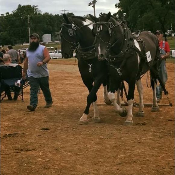 Profile Picture of Josh Anderson (@farmallpulling1) on Poshmark