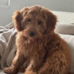 Profile Picture of Brian Kasper (@Brian-Kasper) on Facebook