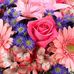 Profile Picture of Debra Seals (@debra.seals.507) on Facebook