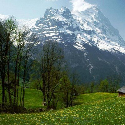 Profile Picture of Mohamad  Fahs (@za2ooo) on Twitter