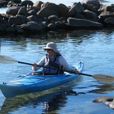 Profile Picture of Nancy Blair (@toymeister) on Twitter