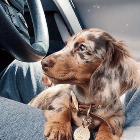 Profile Picture of Asha Manfield (@ammanfield) on Poshmark