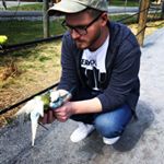 Profile Picture of jesse shinn (@desslemania) on Instagram