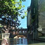 Profile Picture of Rose Ivy Snape (@roseivysnape) on Instagram