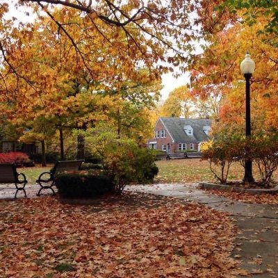 Profile Picture of Julia Ding (@DingJulia) on Twitter