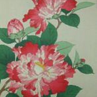 Mathis - Twitter Profile Picture of Mathis (@Elizabethmathis) on Twitter