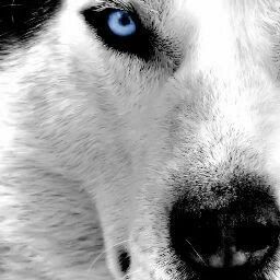 Profile Picture of Greg Doyle (@gregorious240) on Pinterest