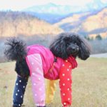 こうじ - Instagram Profile Picture of こうじ (@_mike._.leach) on Instagram