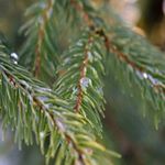 Darrell Pitts - Instagram Profile Picture of Darrell Pitts (@darrellpitts8) on Instagram