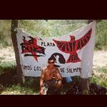 Profile Picture of guillermo quevedo (@guille_75_q) on Instagram