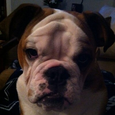 Profile Picture of Jodi McKenna (@opusjm76) on Twitter