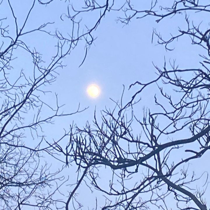 Profile Picture of Robert Doster (@robert.doster3) on Tiktok