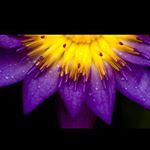 britneygarner - Instagram Profile Picture of britneygarner (@britneygarner2448) on Instagram