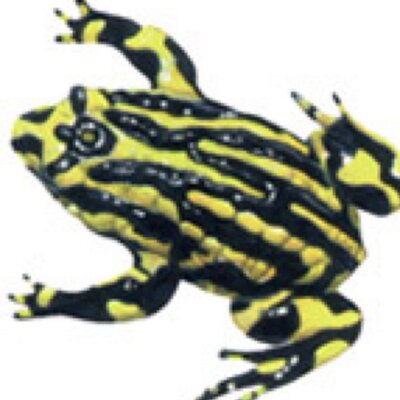 Profile Picture of Peter Waples-Crowe (@pwcrowe) on Twitter