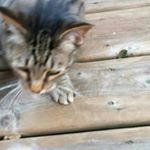 Profile Picture of Marilyn Lyon (@marilyn.lyon.12) on Instagram