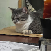 Profile Picture of A Silva (@asilva8855) on Youtube