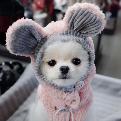 Profile Picture of Kwon Ki Nam (@kwonkinam1) on Twitter