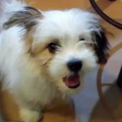 Profile Picture of Goldgraber Digs (@goldgraberdigs2084) on Youtube