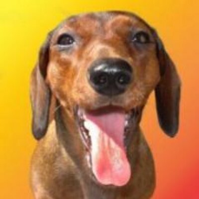 Fabio Nakamura - Twitter Profile Picture of Fabio Nakamura (@binhonaka) on Twitter