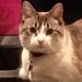Profile Picture of A Coffey-Pratt (@ajc723) on Pinterest
