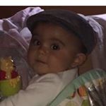 Profile Picture of Novak Stan (@novak_stan) on Instagram