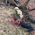 Profile Picture of Logan Mcilwain (@logan.mcilwain.39) on Facebook