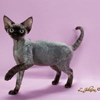 Profile Picture of Carolyn Jimenez (@carolyn-jimenez-1) on Quora