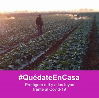 Herik Zuno - Facebook Profile Picture of Herik Zuno (@herik.zuno.7) on Facebook