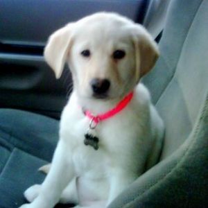 Profile Picture of Katie Tallman (@kickstand58249katie) on Myspace