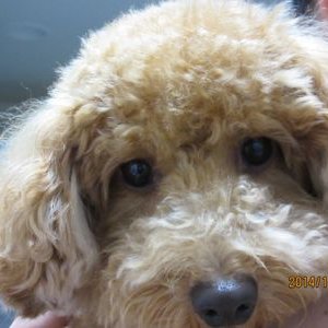 Profile Picture of HIDEO SATO (@HIDEOSATO5) on Twitter