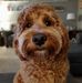Profile Picture of Beverly Huston Armstrong (@beverly.h.armstrong.7) on Facebook