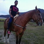 Profile Picture of Alex Calvillo Contreras (@alex.calvillocontreras) on Instagram