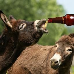 Profile Picture of John Pilger (@ryuken1000) on Twitter